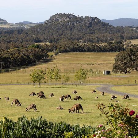 Hanging Rock Views วูดเอน ภายนอก รูปภาพ