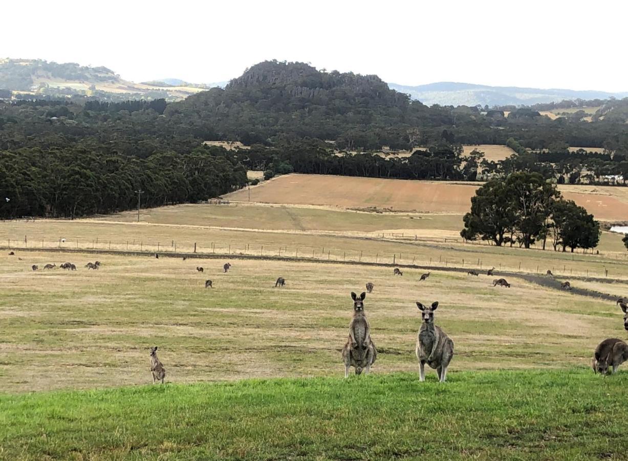Hanging Rock Views วูดเอน ภายนอก รูปภาพ