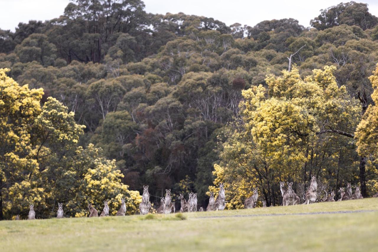 Hanging Rock Views วูดเอน ภายนอก รูปภาพ